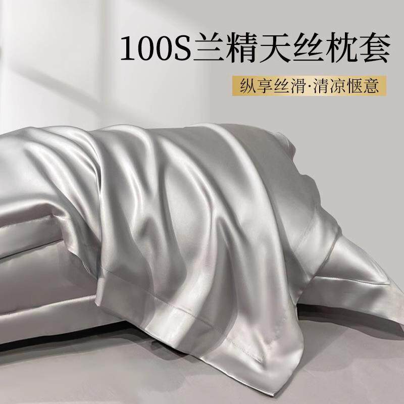 天丝夏季枕套真丝枕头套一对装冰丝枕头套48cmx74cm2024新款2