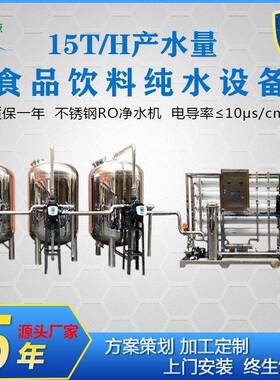 厂家定制15吨级反渗透设备工业食品饮料生产纯水过滤系统净水机