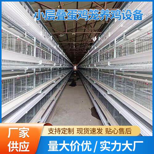 小层叠蛋鸡笼养鸡设备立体式阶梯式蛋鸡笼养殖场三层四层备育雏笼