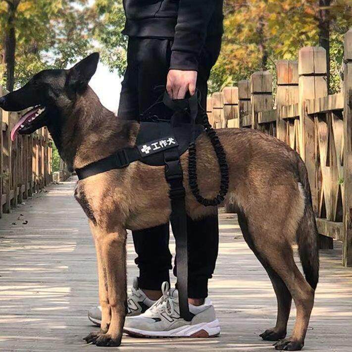 马狗牵引绳特种犬战术马具中、大型犬马甲型遛狗德国牧羊犬金毛昆,宠物/宠物食品及用品,狗牵引绳,淘宝优惠券,粉丝福利购,淘宝优惠卷
