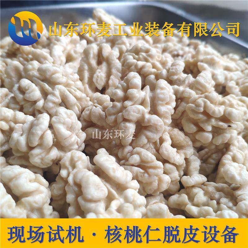现场验机核桃仁去皮机休闲风味核桃仁脱皮机环麦提供工艺指导