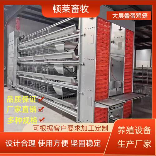 大层叠蛋鸡设备加密加粗自动化养殖笼具热镀锌蛋鸡笼加粗加密鸡笼