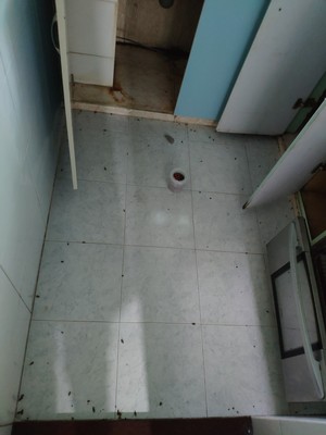 最新数据显示安速红阿斯10g装杀虫剂怎样，老司机深度剖析真心话