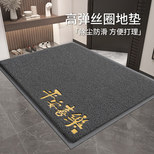 地垫入户门垫丝圈防滑门口地毯