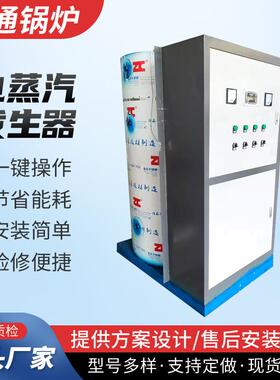 电加热蒸汽发生器洗涤熨烫混凝土养护运行稳定桥梁养护蒸汽锅炉