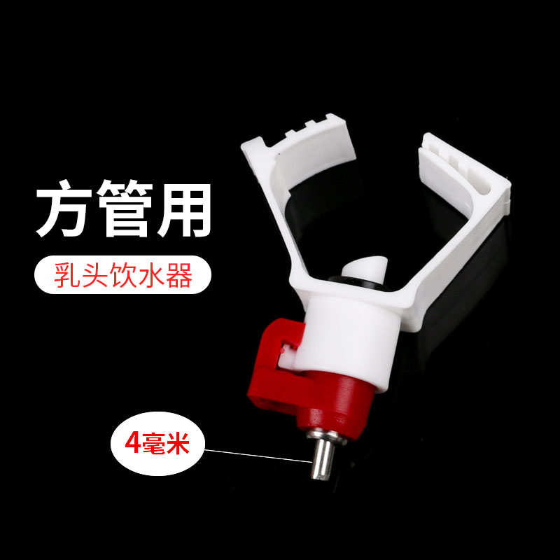 水接水雏鸡新型乳头育雏碗碗 养殖 碗杯饮水水器水饮自动育雏小鸡