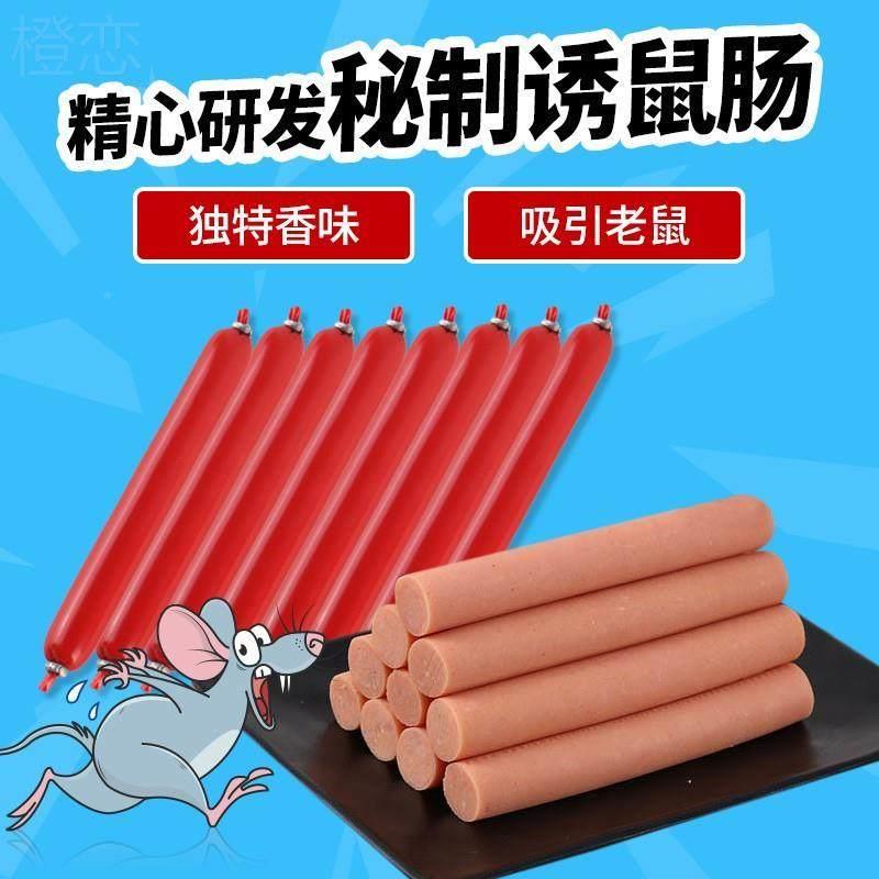 滑板车自行车折叠车山地车菜篮子图片