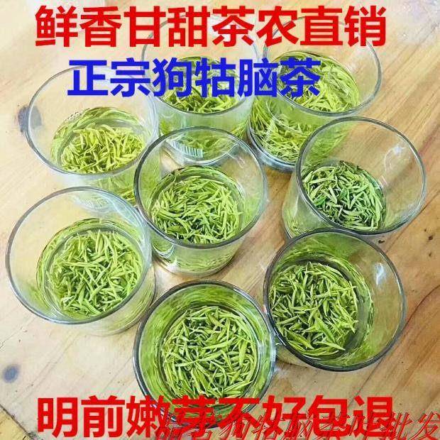 26新茶狗牯脑春茶江西绿茶特产狗古脑茶叶明前贡品芽送罐可配礼盒