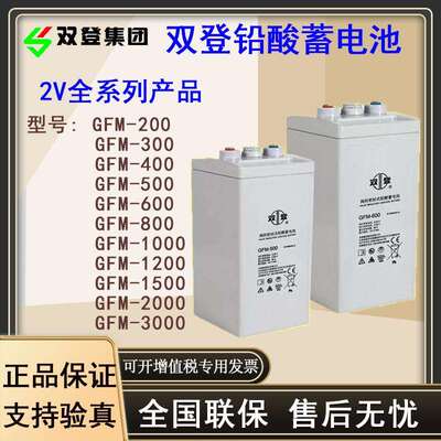 双登免维护铅酸蓄电池2V全系列GFM-200200AH300AH400AH500AH