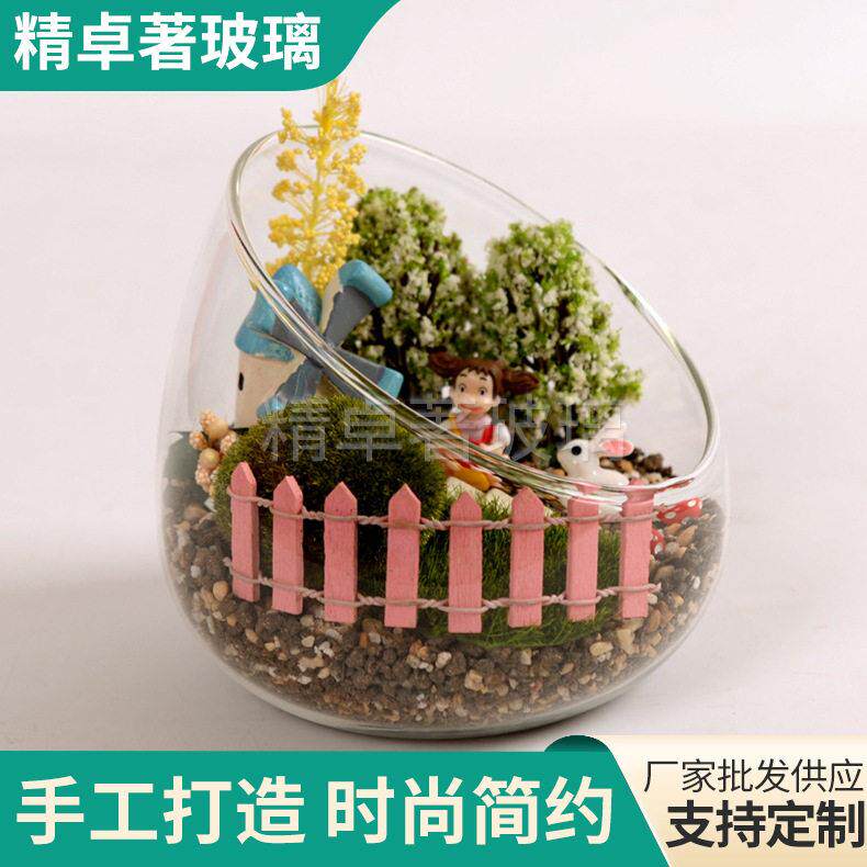 微景观玻璃花大斜口造景多肉苔藓植物水培花量大从优