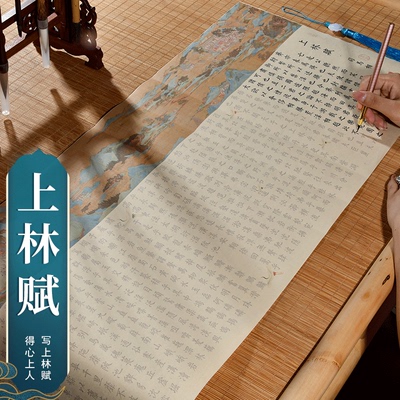 精品上林赋全篇五米长卷司马相如小楷毛笔字帖毛笔字帖初学者入门