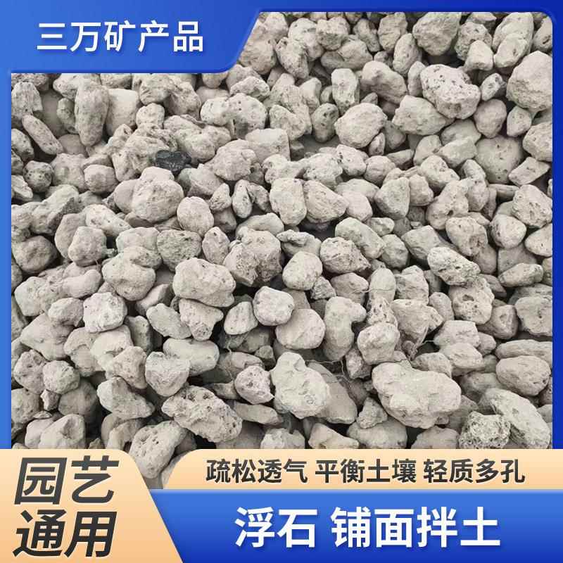 造景多孔浮石栽培园艺透气铺底轻石垫底拌土浮石水族滤材造景轻石