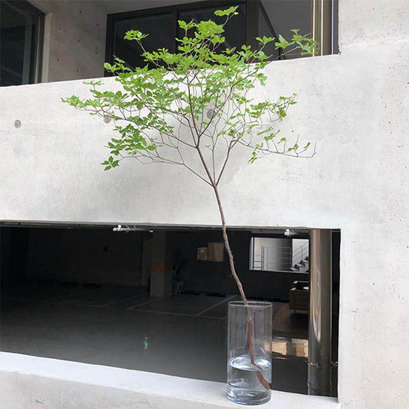 模拟绿色植物马醉木挂钟室内客厅落地式盆栽彷生植物装饰假树饰品