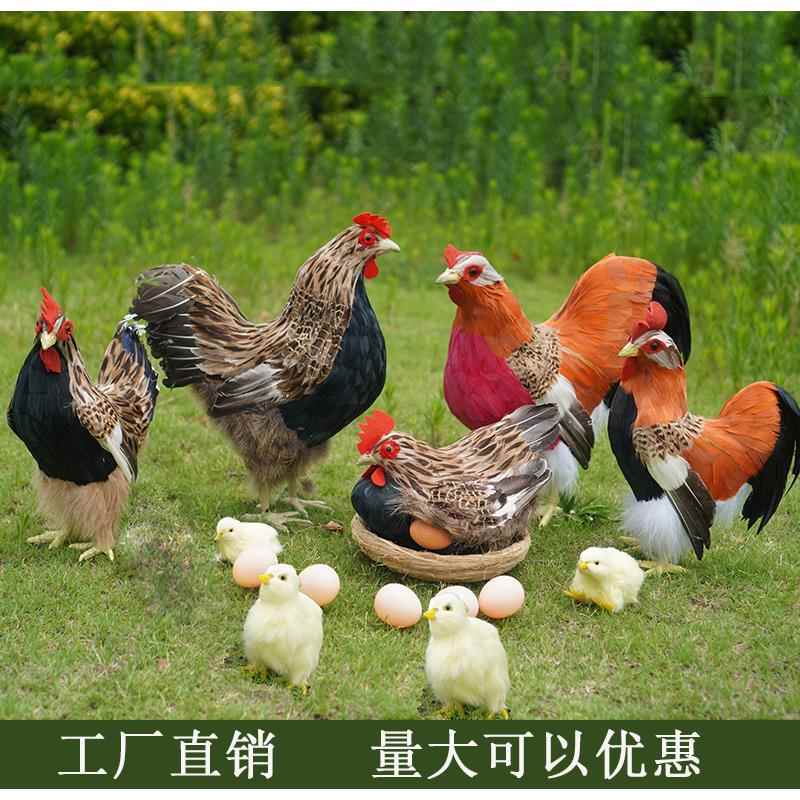 仿真羽毛鸡模型玩具公鸡母鸡孵蛋鸡摆件小鸡仔拍摄道具家居饰品