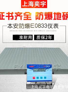 XK3102-E0833本安型防爆电子地磅1T2吨3吨磅称化工厂小型平台秤