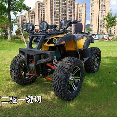 4X4电动沙滩车全地形四驱四轮越野电动车ATVutv农夫车卡丁车汽油