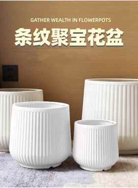 水泥盆树脂盆陶瓷柠檬树盆栽花盆百搭款高颜值北欧简约室内现代风