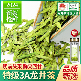 正宗龙井茶2024新茶，特级3a明前茶绿茶浓香型春茶，龙井茶叶500g