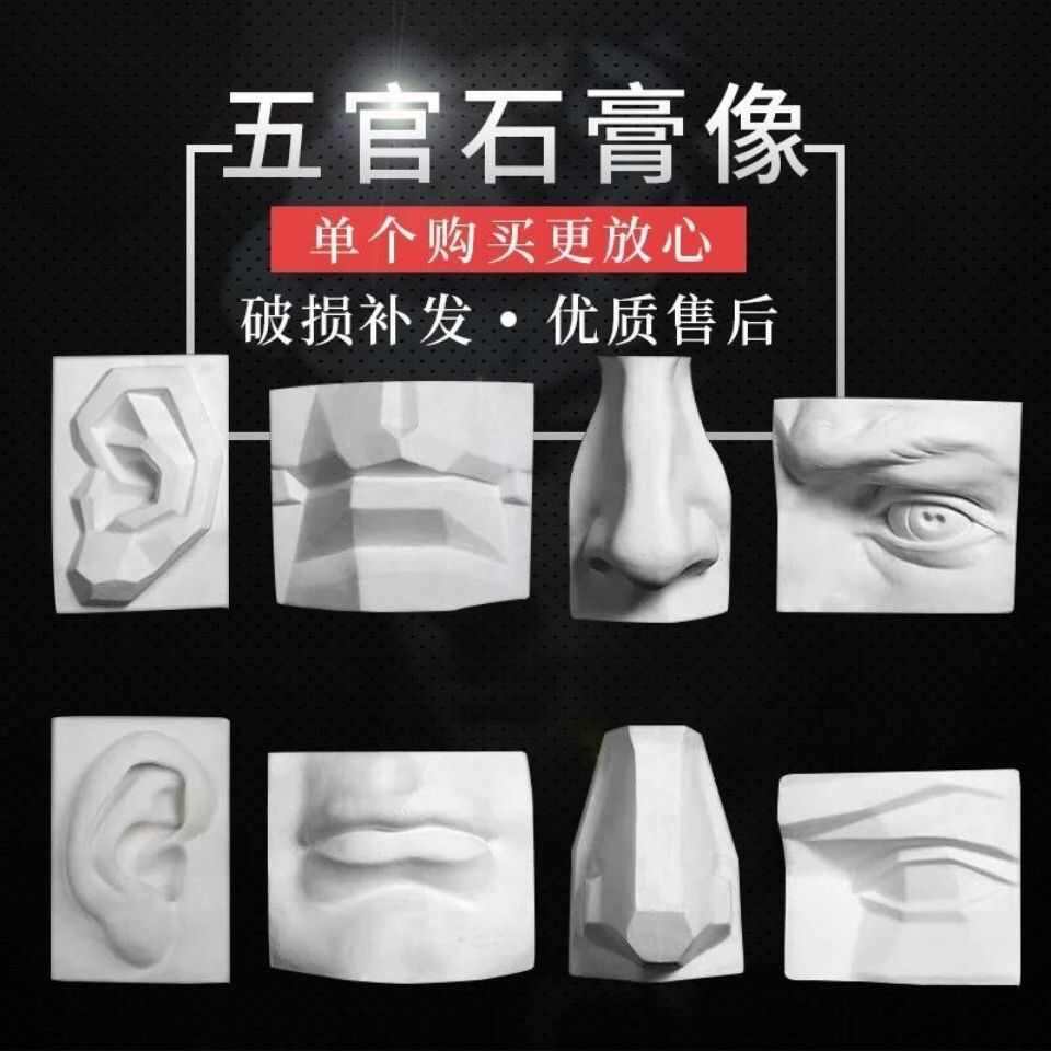 石膏五官石膏像实面眼耳鼻嘴模型素描静物美术教具人物雕塑雕婕琦