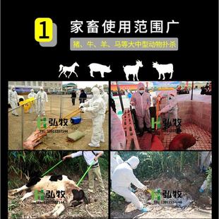 小型屠宰设备杀猪牛驴羊专用电猪杆电麻器家用猪瘟无害化扑杀器