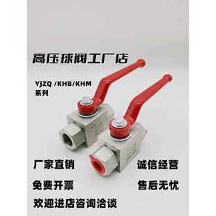 液压高压球阀内螺纹公制M/Young G/Zg螺纹Yjzq Qjh Khb Khm Cjzq