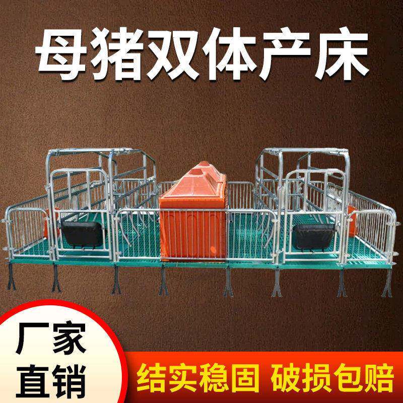 双体母猪产床小猪保育床欧式产保一体双体端猪用产床定位栏配件