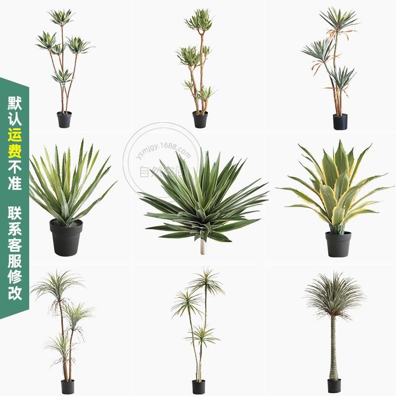 仿真芦荟龙舌兰剑麻沙生植物小棵绿植家居门店造景堆景装饰盆栽