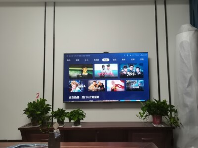 TCL 65T88D心酸经历曝光,质量说明