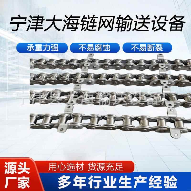 加工04不锈钢异形弯板链条双节距大滚珠链条多种规格型号