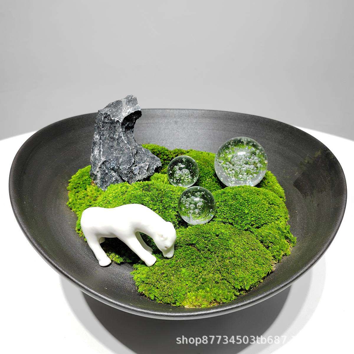 现代永生苔藓盆景售楼部花艺样板间茶几洽谈桌新中式绿植软装饰品