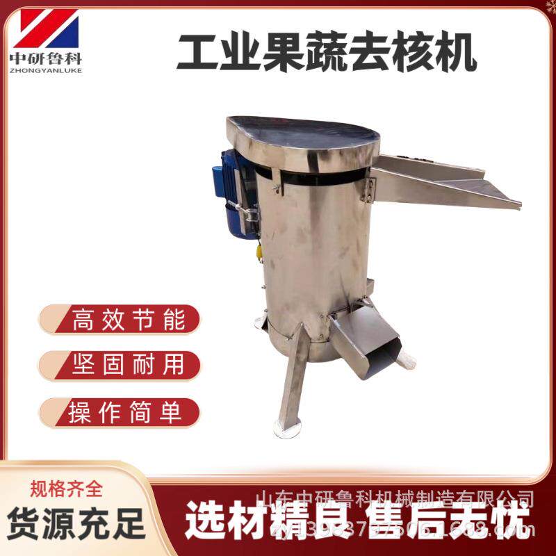 不锈钢大型龙眼去核机 工业青梅酸梅打浆脱核机 浆果去核机