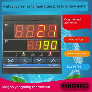 8935 8132 8432高品质 8932 阳明阳明压力温度流量仪表Xmta8931