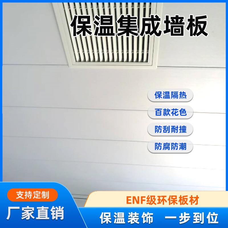 装饰保温集成墙板轻质环保体育馆天花吊顶隔热板阻燃防火夹芯板