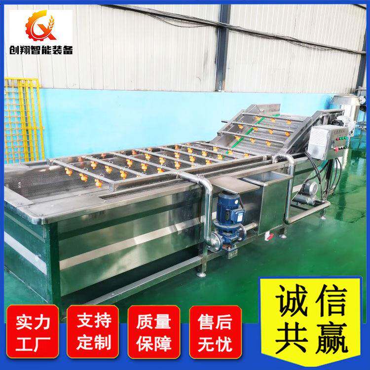 全自动小龙虾气泡清洗机黄豆芽喷淋式洗菜机海带翻浪去杂清洗设备