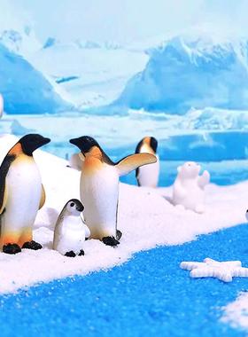 微景观北极风景造景摆件套餐迷你仿真北极熊企鹅海豹冰川雪地装饰