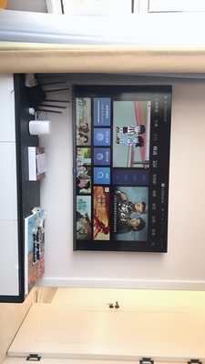 说下知道TCL55T6M与海信55E52D哪款值得入手？比较一下差别大不大