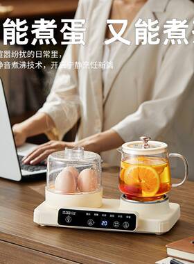 2026新款迷你养生壶玻璃办公室小型花茶早餐机保温一人烧水煮茶器