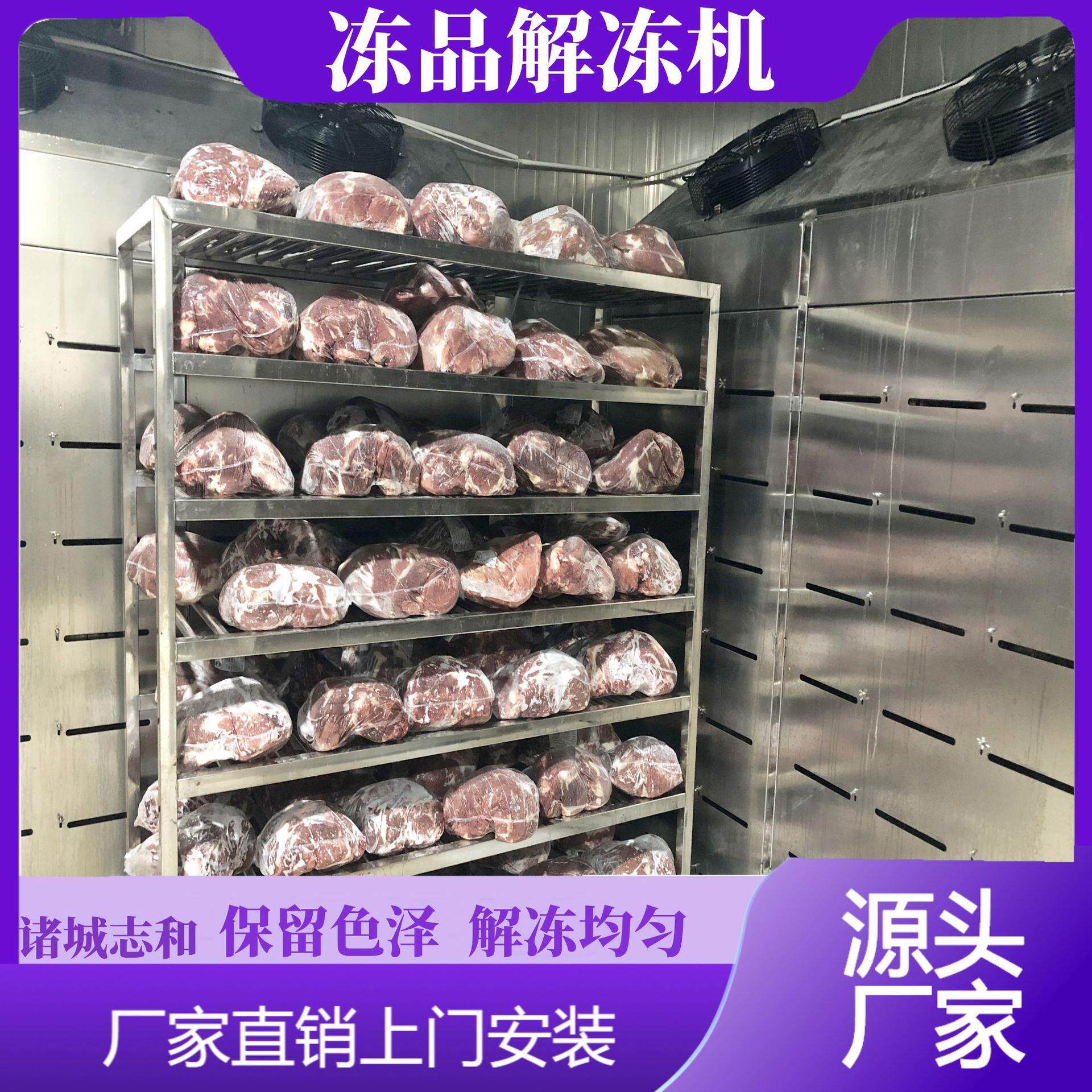 多功能低温高湿解冻机 大型牛肉猪肉羊肉化冻设备 冻鸡胸肉缓化库