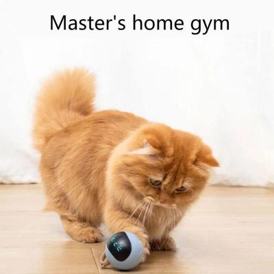 Smart Electric Cat Toys Automatic Rolling Ball Interactive C