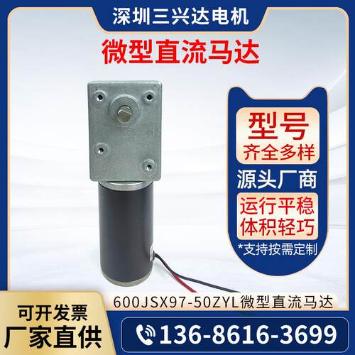 600JSX97-50ZYL微型直流马达 有刷直流减速电机 双出轴
