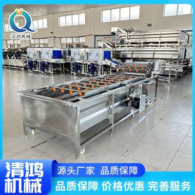 中材枸杞蒲公英气泡清洗 菊花清机杀青流洗水线NHE 金药银花清洗
