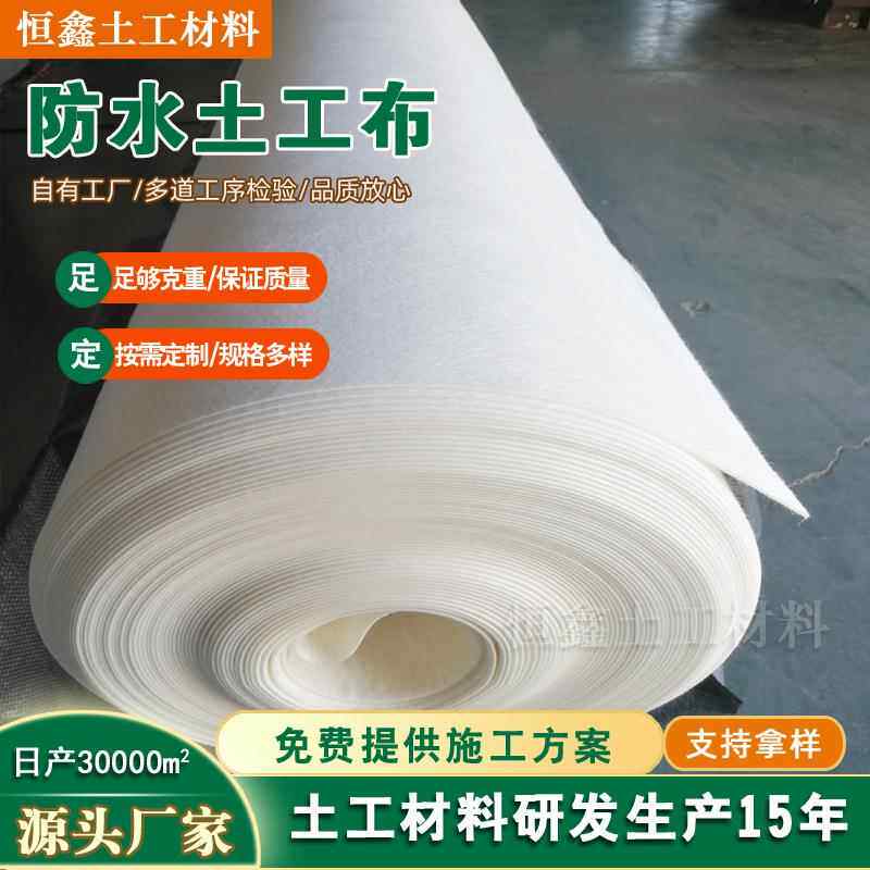 国标复合土工膜水库鱼塘两布一膜蓄水池养殖场白色400g防水土工布
