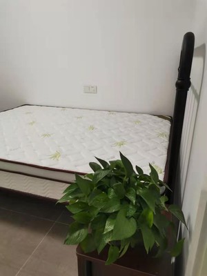 整体分析天坛床垫怎么样?质量分析天坛床垫好吗？