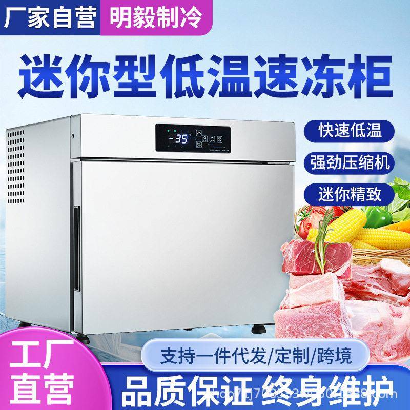 速冻柜保鲜肉类大容量冰淇淋急冻台式小型冷冻冷藏柜海鲜冰激凌机