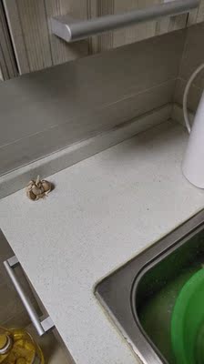 易开得净水器好用吗？不用换滤芯质量吗