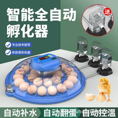 跨境厂家小飞碟孵化器小型家用孵化机孵蛋器跨境热销