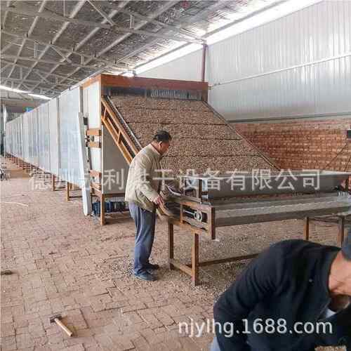 工磁调加速电自动控温葵花籽烘干机 动新型带YOT式全自瓜子烘干设