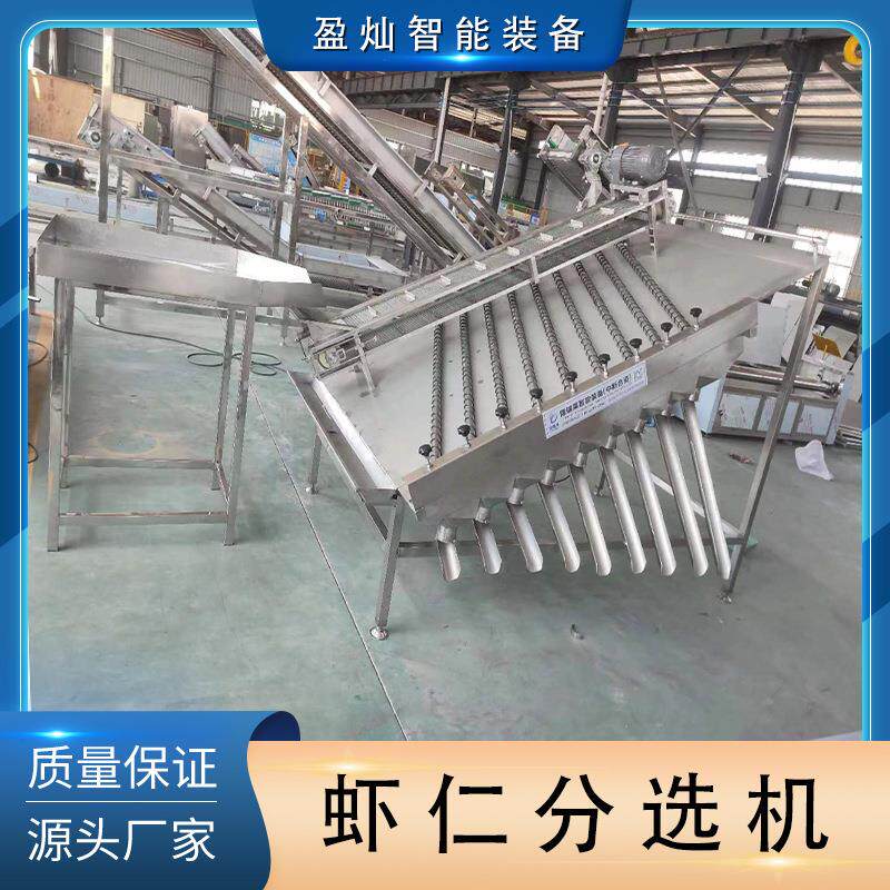 虾分选设备水产品鱼类多规格分选机虾类处理设备龙虾尾分选机
