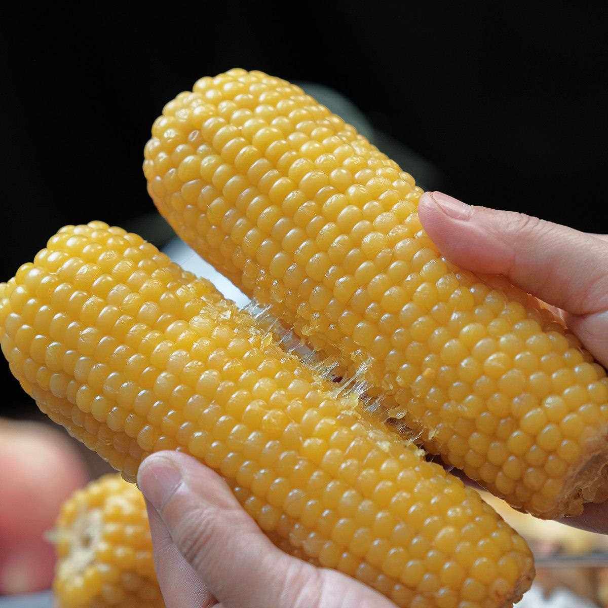 肉眼可见糯！黄金香糯可食甜玉米 软糯细嫩微甜东北玉米4斤