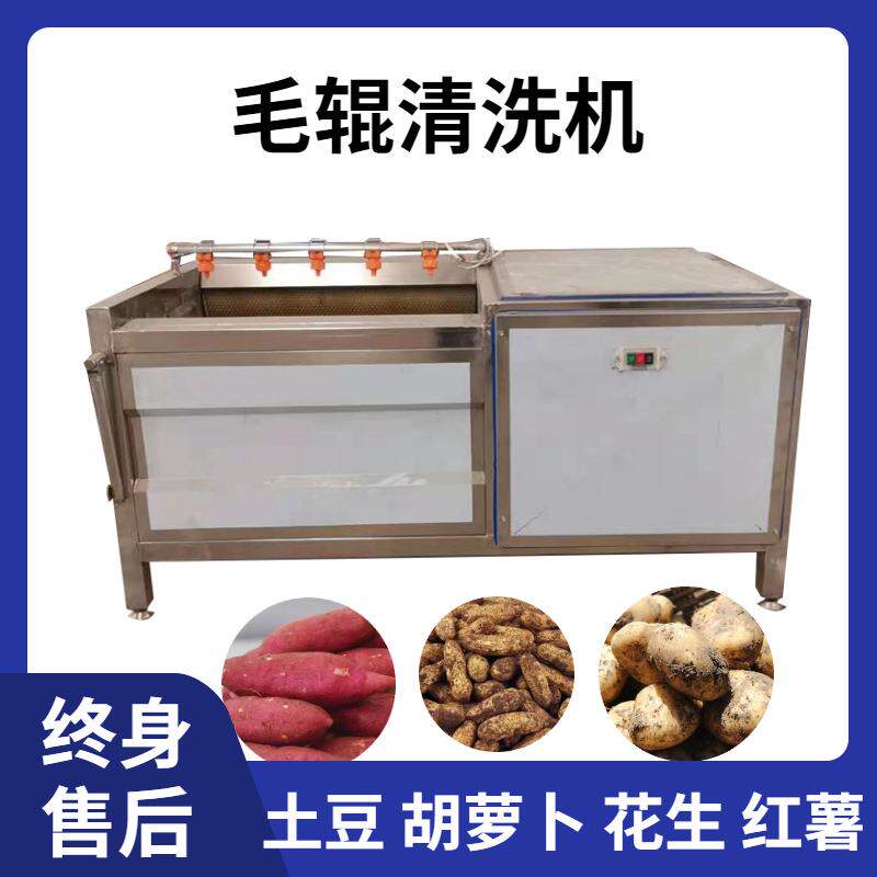 全自动毛刷土豆清洗机花生去泥清洗红薯去皮机器平行毛辊清洗设备